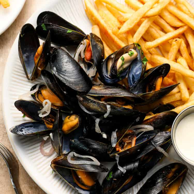 A plate of Moules Frites features cooked mussels garnished with sliced shallots, served alongside crispy French fries and a small dish of dipping sauce—a classic delight from Belgian cuisine.