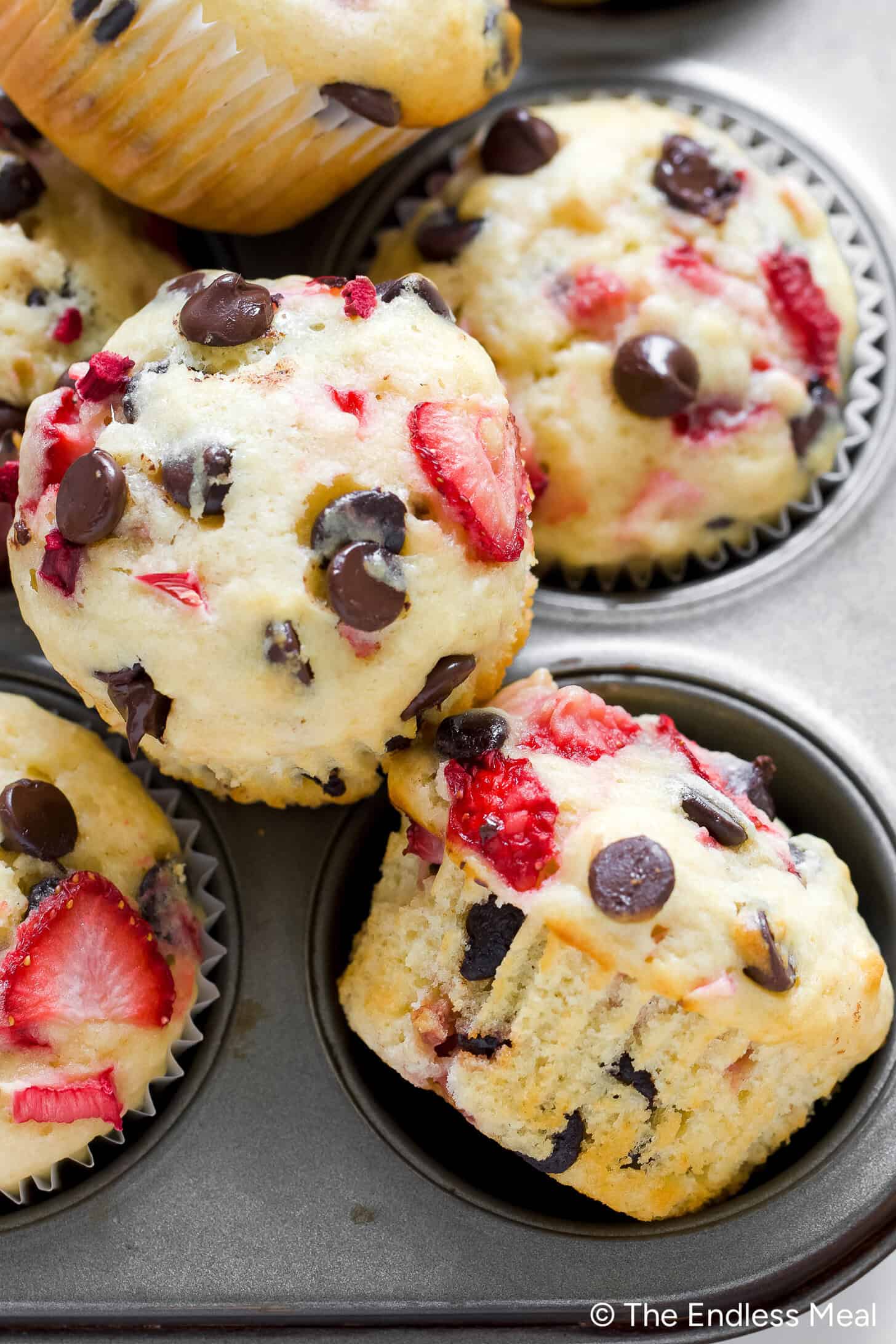 Strawberry Rhubarb Muffins with Chocolate Chips