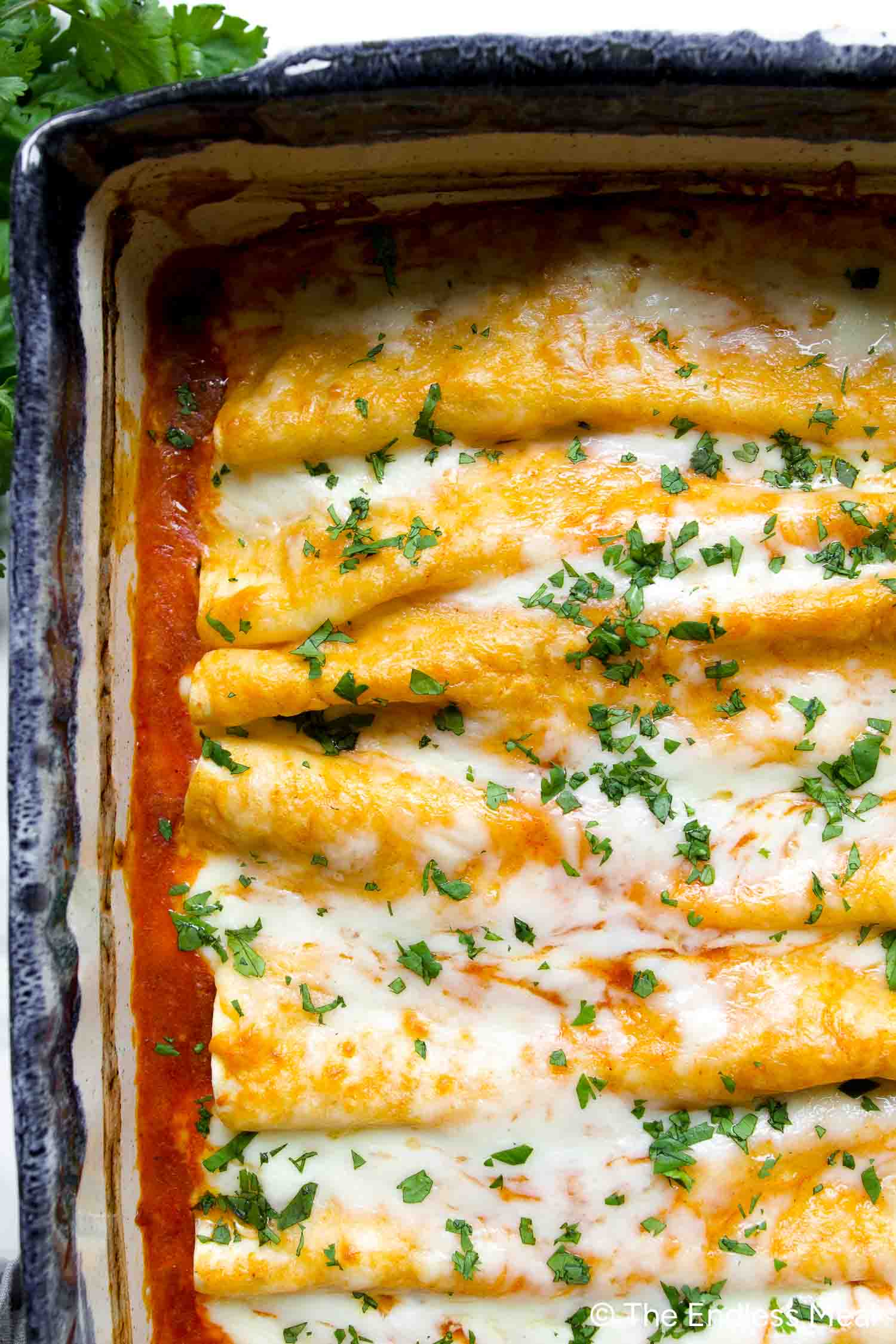 A close-up of baked Chicken Veggie Enchiladas topped with melted cheese, enchilada sauce, and chopped fresh herbs in a rectangular dish.
