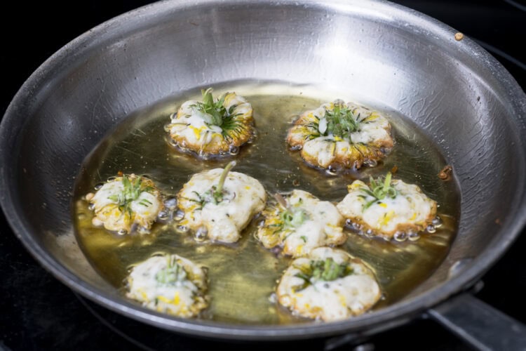 Seven stuffed squash blossoms are frying in hot oil in a stainless steel pan, their golden edges crisping up like Dandelion Donuts.
