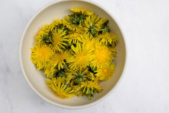 A white bowl filled with fresh yellow dandelion flowers, perfect for making Dandelion Donuts, sits on a light, marble-like surface.