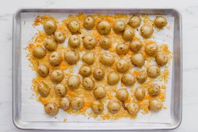 A baking sheet with roasted baby potatoes topped with melted cheese on parchment paper.