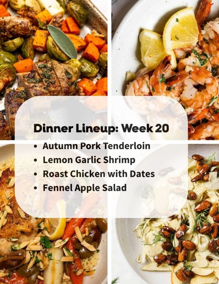 Four plated dishes—skewered pork with vegetables, shrimp with lemon, roast chicken with dates, and fennel apple salad—surround a text box listing a weekly dinner lineup.